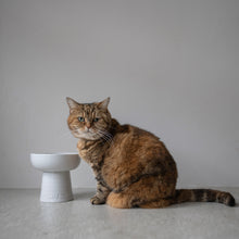 Load image into Gallery viewer, Classy Cat Dog Raised Bowl - deep
