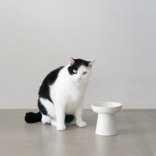 Load image into Gallery viewer, Classy Cat Dog Raised Bowl - 5 inch
